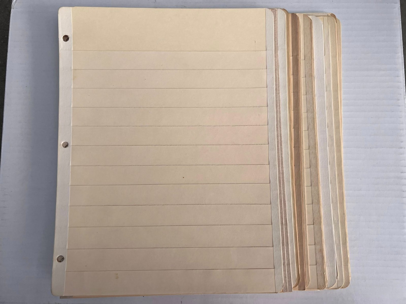 Pack of 20 Manila 12 Row Stock-pages for Standard 3-Ring Binders (No marks)