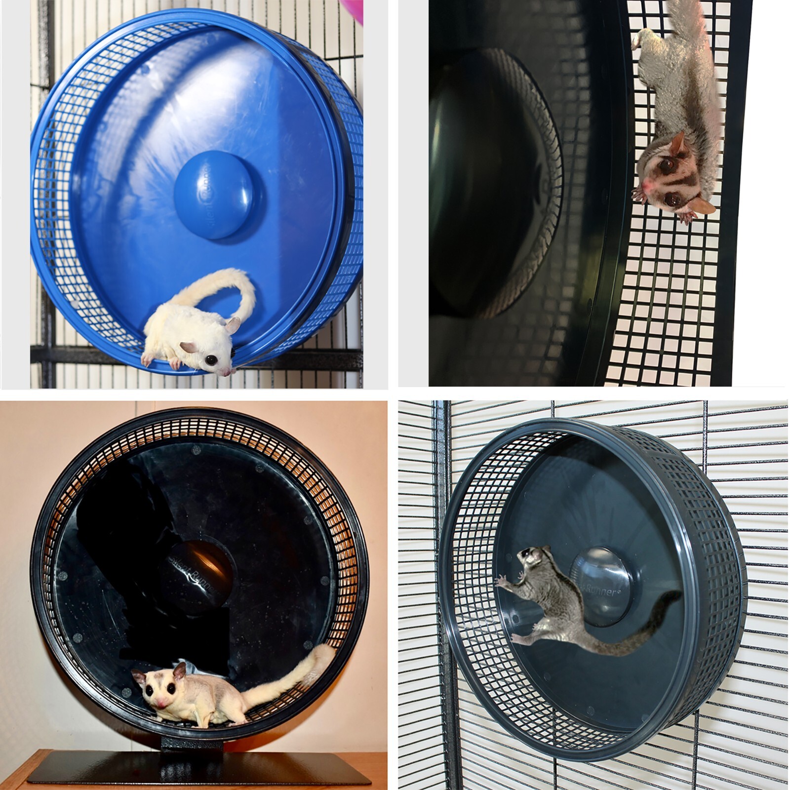 Silent Runner Pro Blue - Durable Pet Exercise Wheel with Cage Attachment
