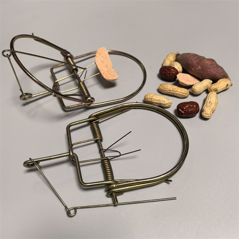 2pcs Size M Professional Rodent Traps Strong Spring Mouse Trap Snap Rat Catcher