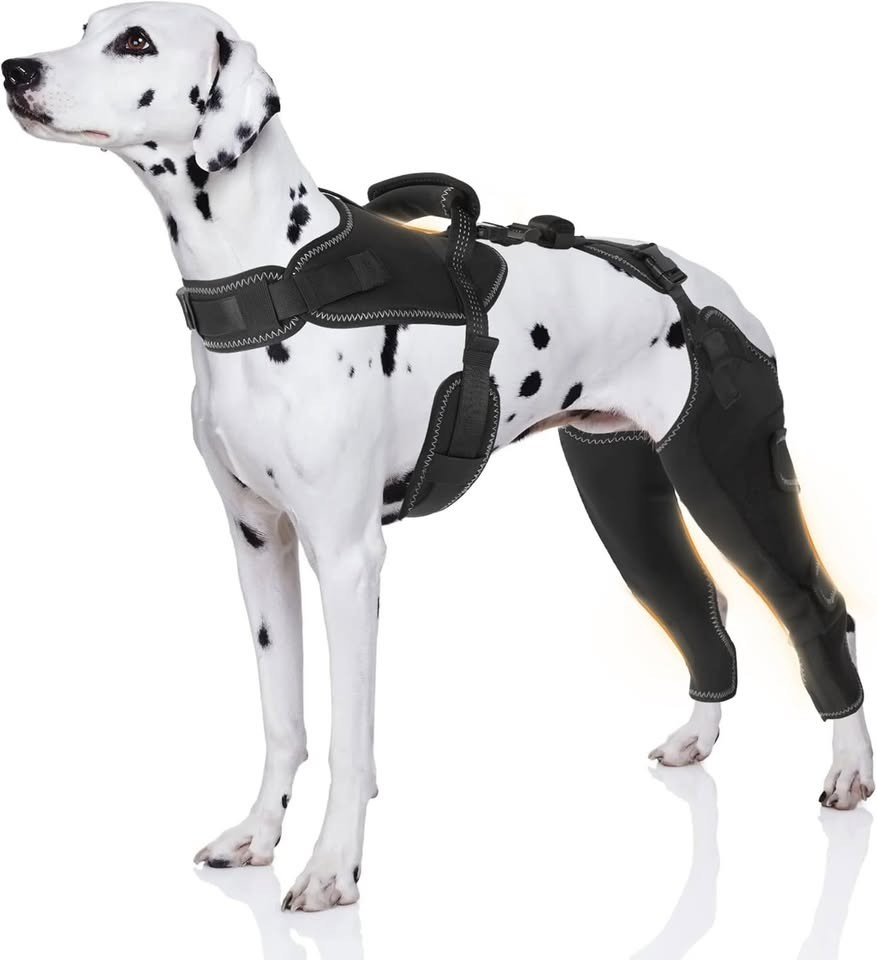 Brand New Dog ACL Brace Hind Leg Adjustable Leg and Hip (X-Large) Wrap Harness