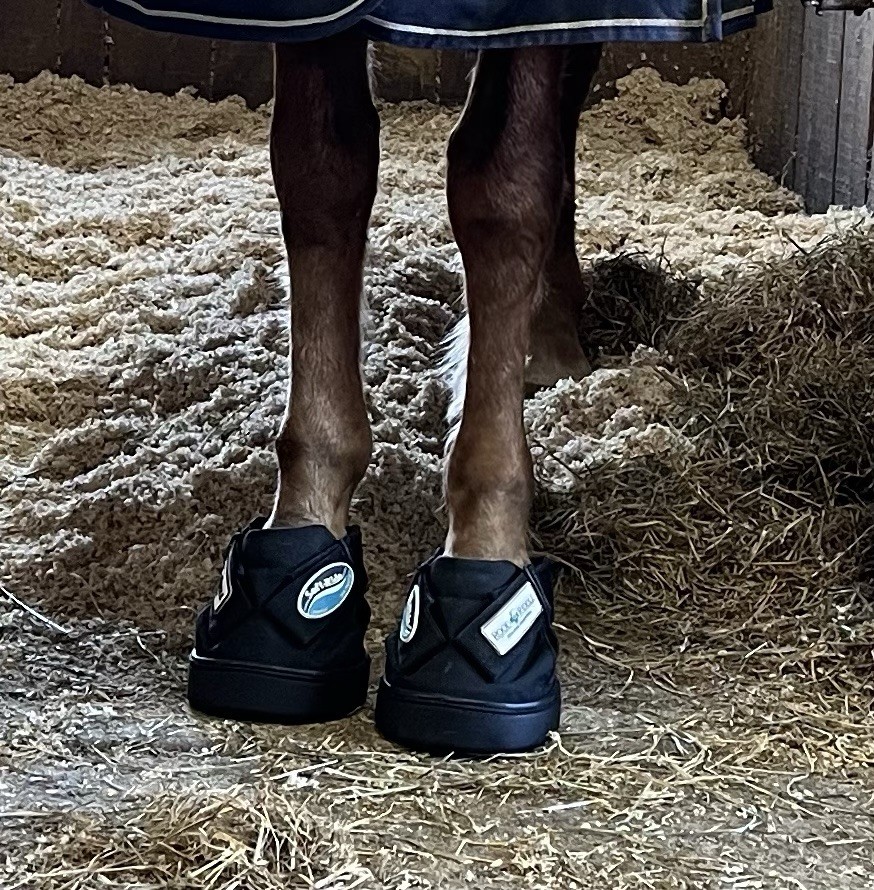 Soft Ride Boots size 5 (pair)