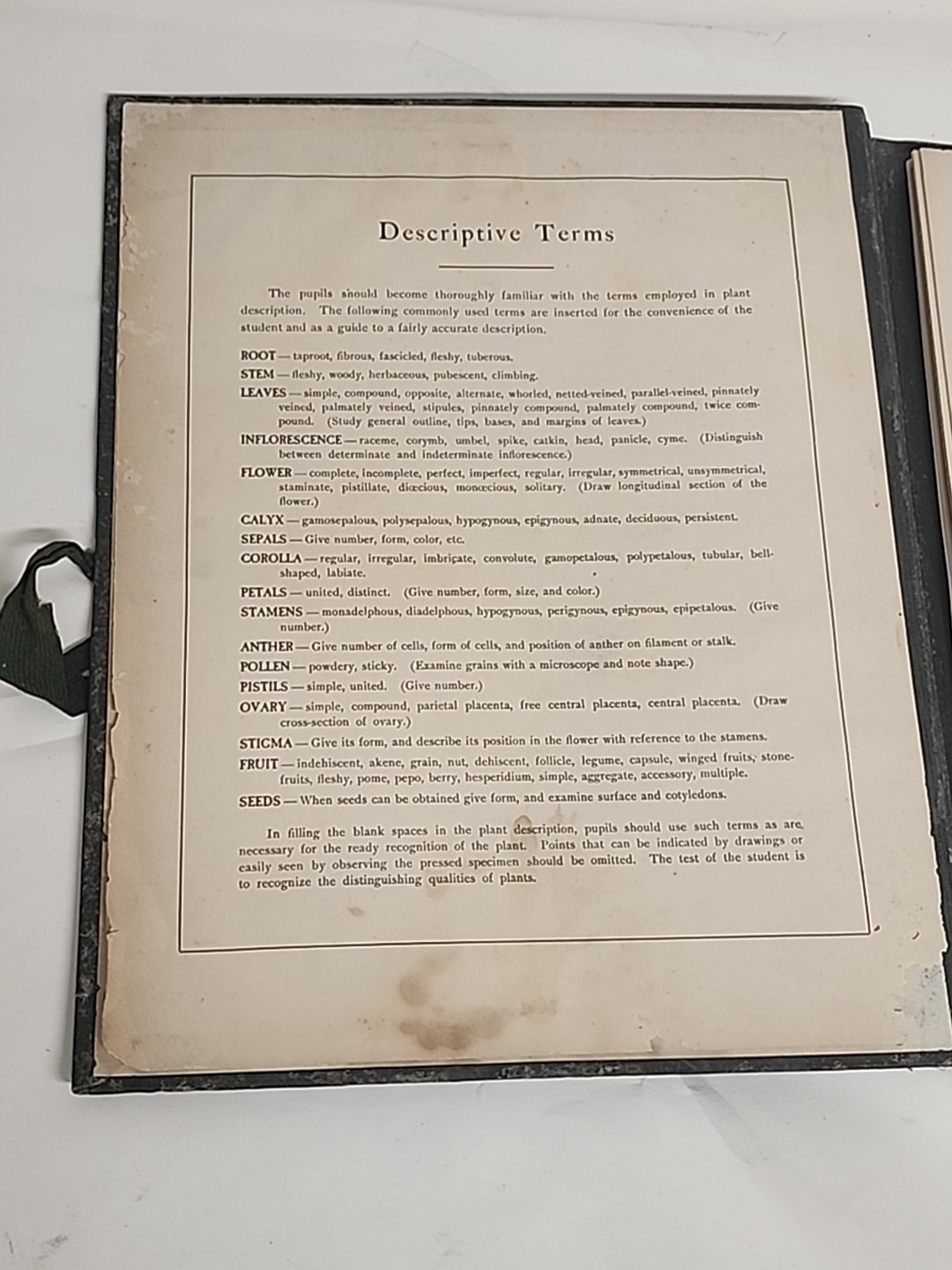 Antique HERBARIUM AND PLANT DESCRIPTIONS Meier Ginn And Company Complete 1907