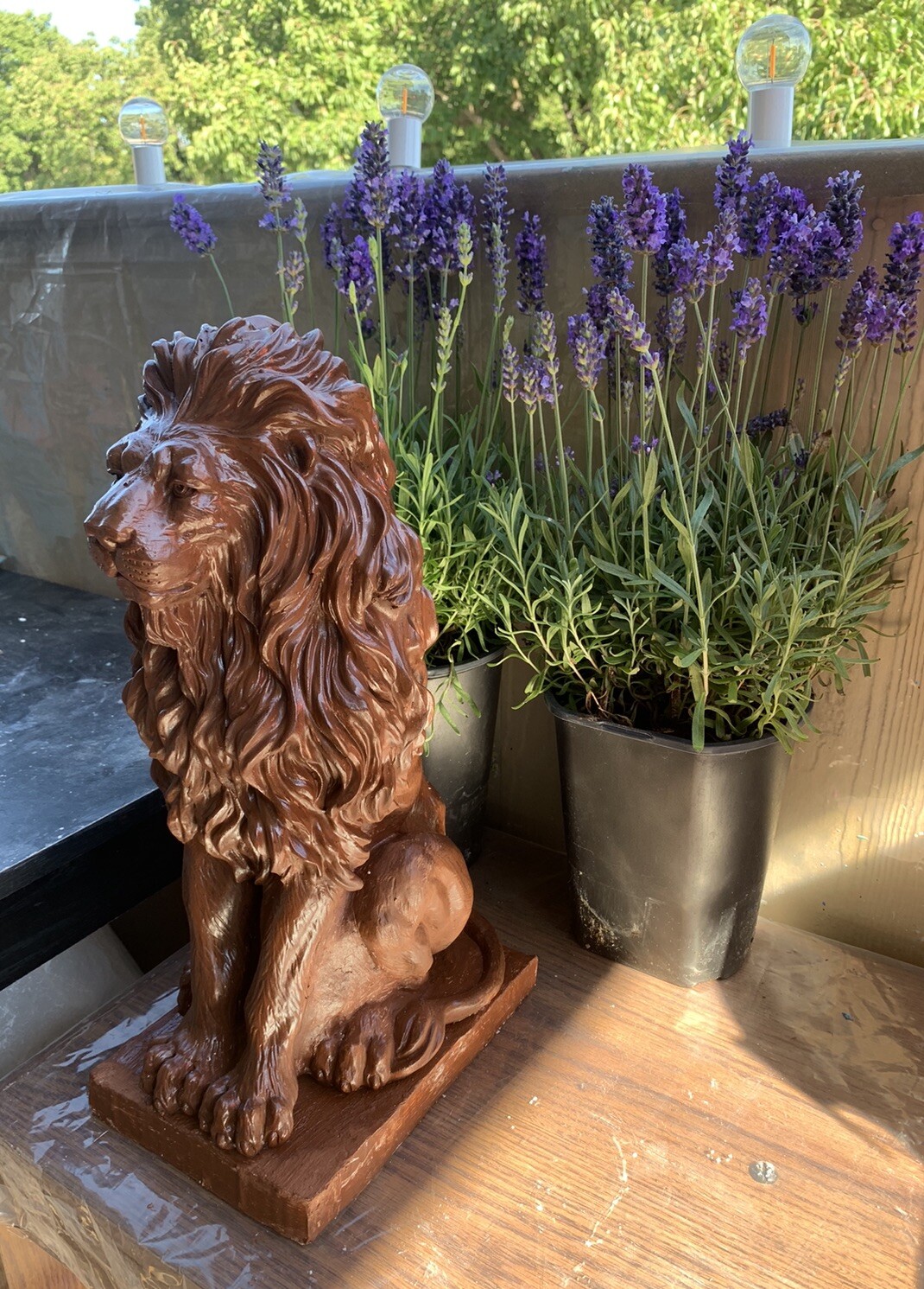 LATEX RUBBER MOLD Only YKM-L5014 Lion H. 16” Casing Sold Separately Made In USA