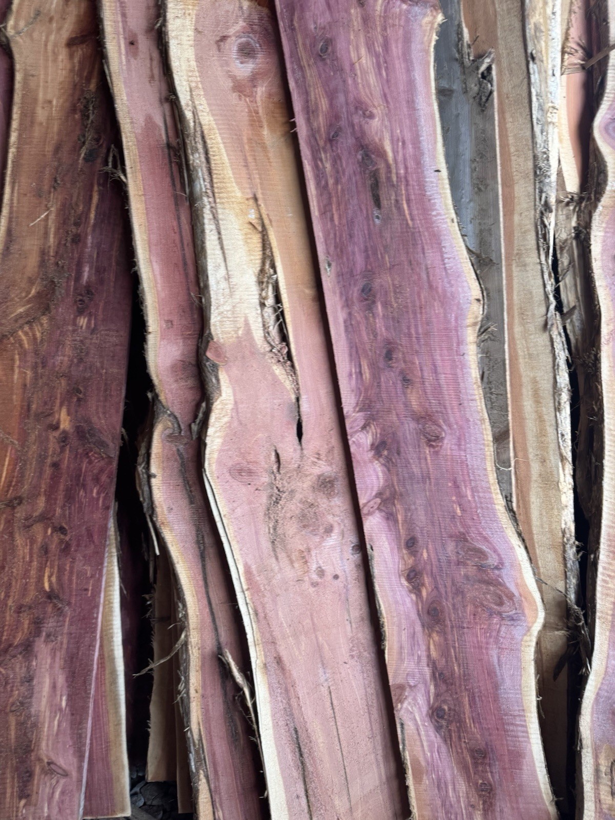 🔥 Stunning Live Edge Eastern Red Cedar – Kiln-Dried & Ready to Go!