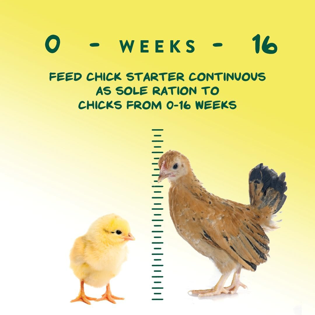 NEW Chick Starter Grower - Medicated Chick Feed Crumble for Young Chickens