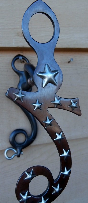 Gary Avila Seven Cheek Silver Stars Centennial Iron Horse Bit