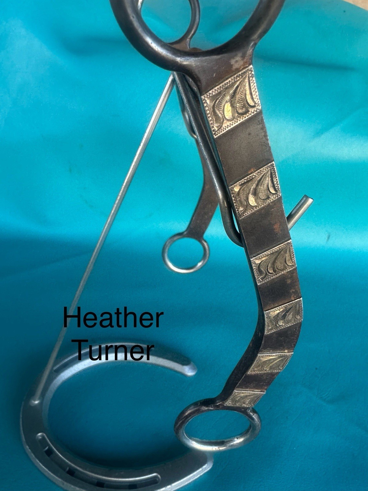 Daryl Davis DD Maker Western Bit Sterling Silver Shanks 5