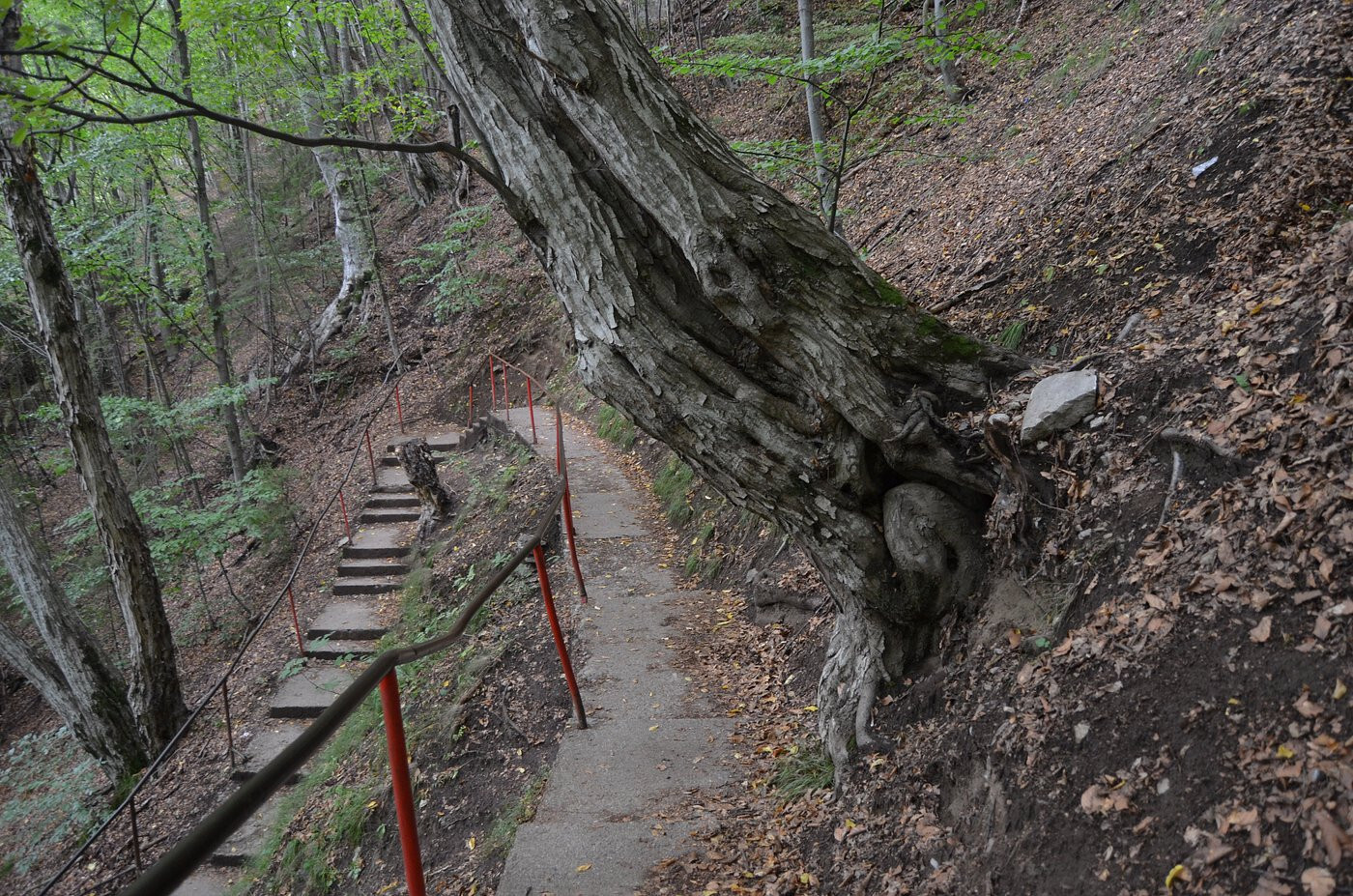 Draculas POENARI CASTLE Relic Brick Fragments Item Vlad The Impaler Transylvania