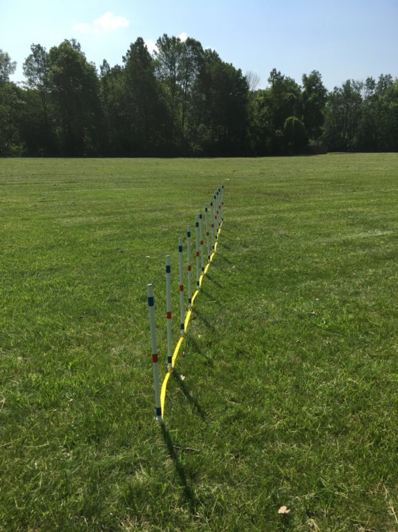 Dog Agility Equipment Stick in ground Weave Poles-set of 12 w/pole placer ⭐⭐⭐⭐⭐