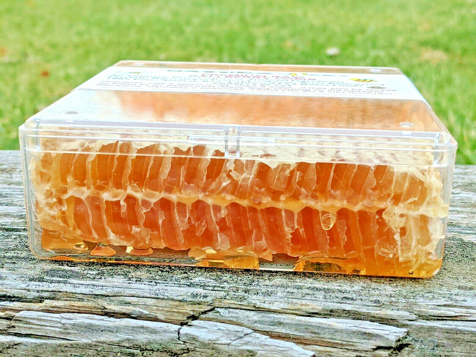 PREMIUM HONEY RAW GALLBERRY COMB 12oz 100% PURE UNFILTERED USA HONEYCOMB