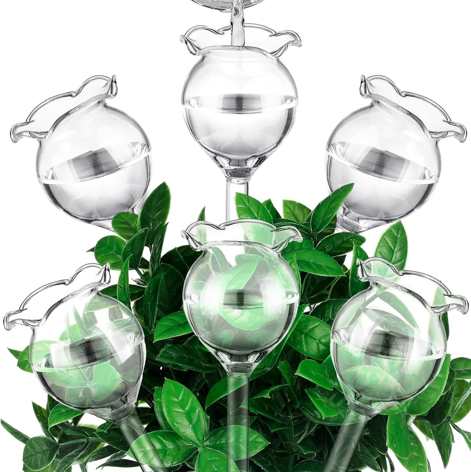 6 Pcs Self Watering Plant Globes Glass Cactus Insert Watering Devices Automatic