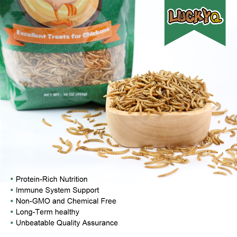 22LB Dried Mealworms Bulk Non-GMO Organic for Wild Blue Bird Chickens Hen Treats