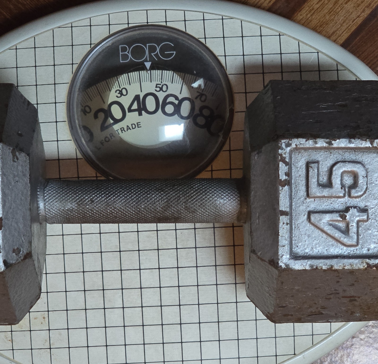 11" Tall Borg Small Feet Oval Bathroom Scale Bubble Viewer White Lines 280lbs