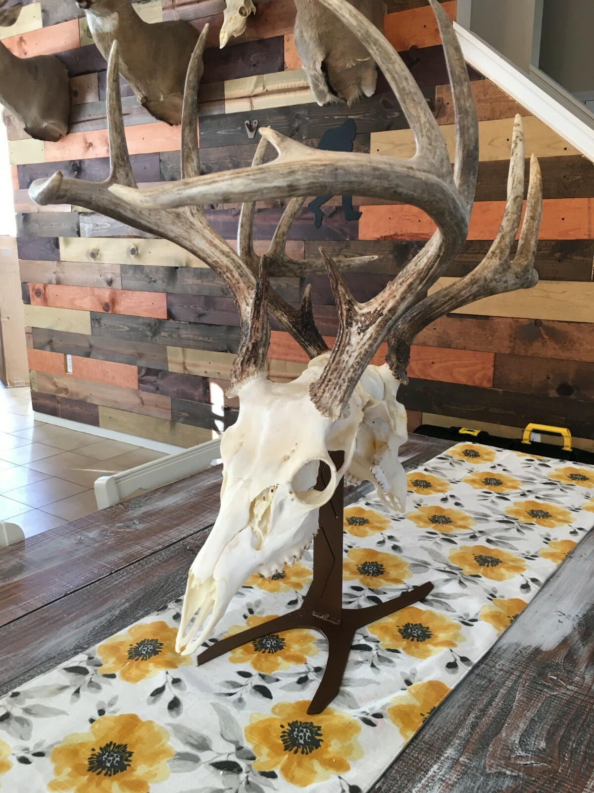 Amazeen Outdoors Double Table Top Mount European Skull Hanger Deer Hook Metal