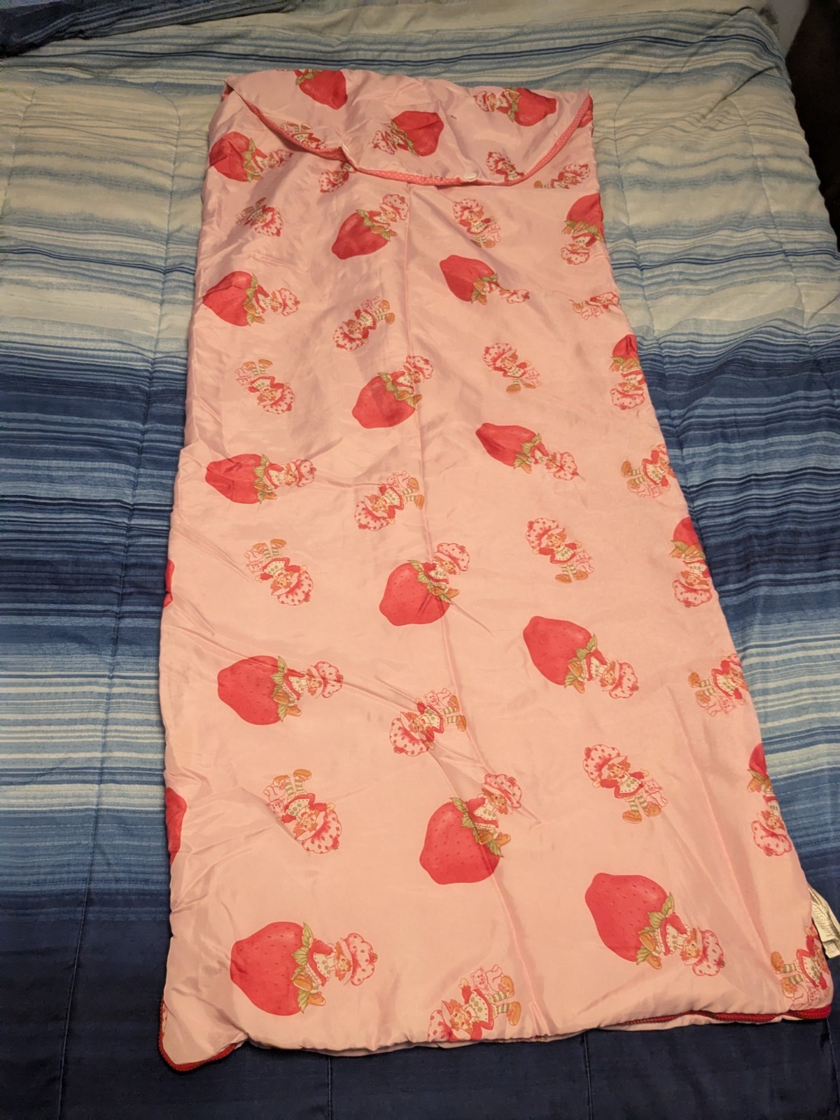 VTG Retro Strawberry Shortcake Kids Sleeping Bag/Backpack Life Is Delicious