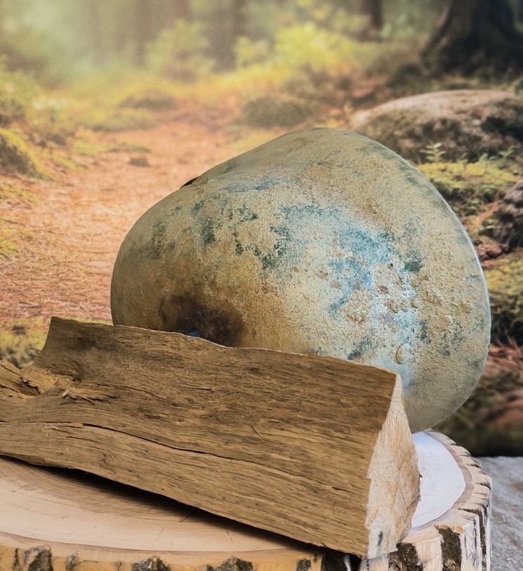 Helmet german original nice helmet M40 original WW2 WWII size 66