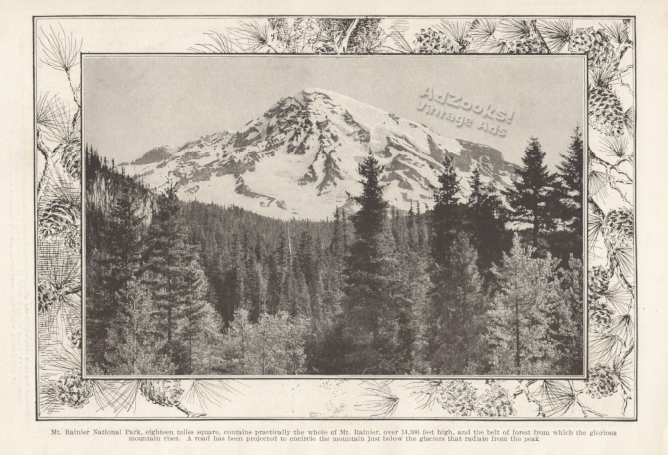 1912 Motoring in Mount Rainier National Park Print Article – Tour Bus & Inn Pix
