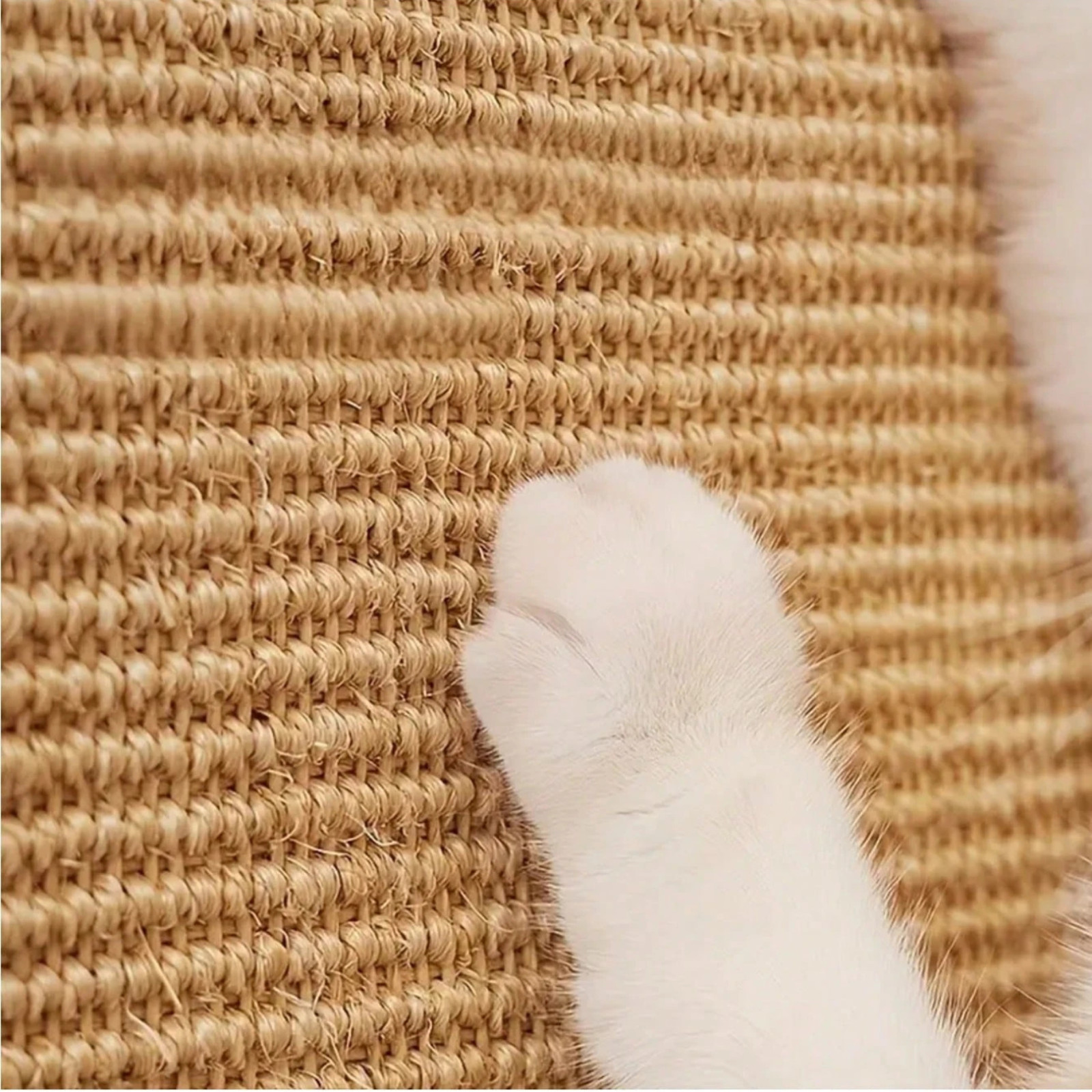 Sisla Cat Scratcher Mat Indoor Interactive Play Rug Grinding Claws Scratchers