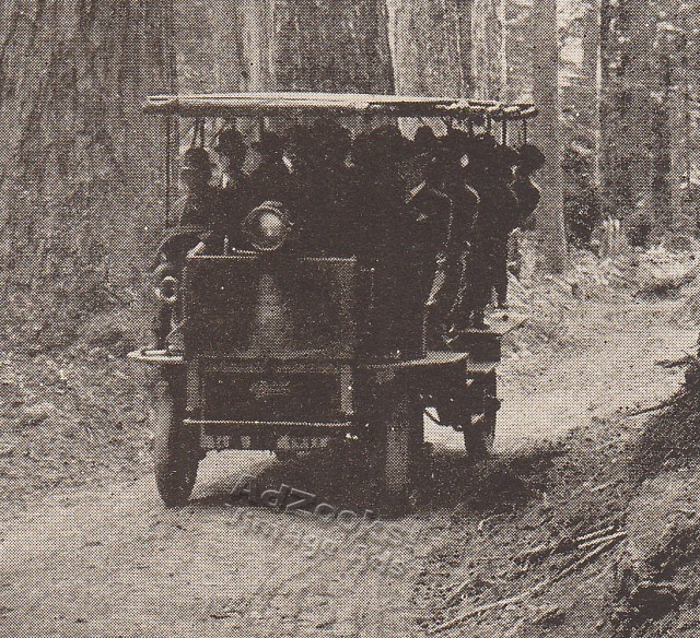 1912 Motoring in Mount Rainier National Park Print Article – Tour Bus & Inn Pix