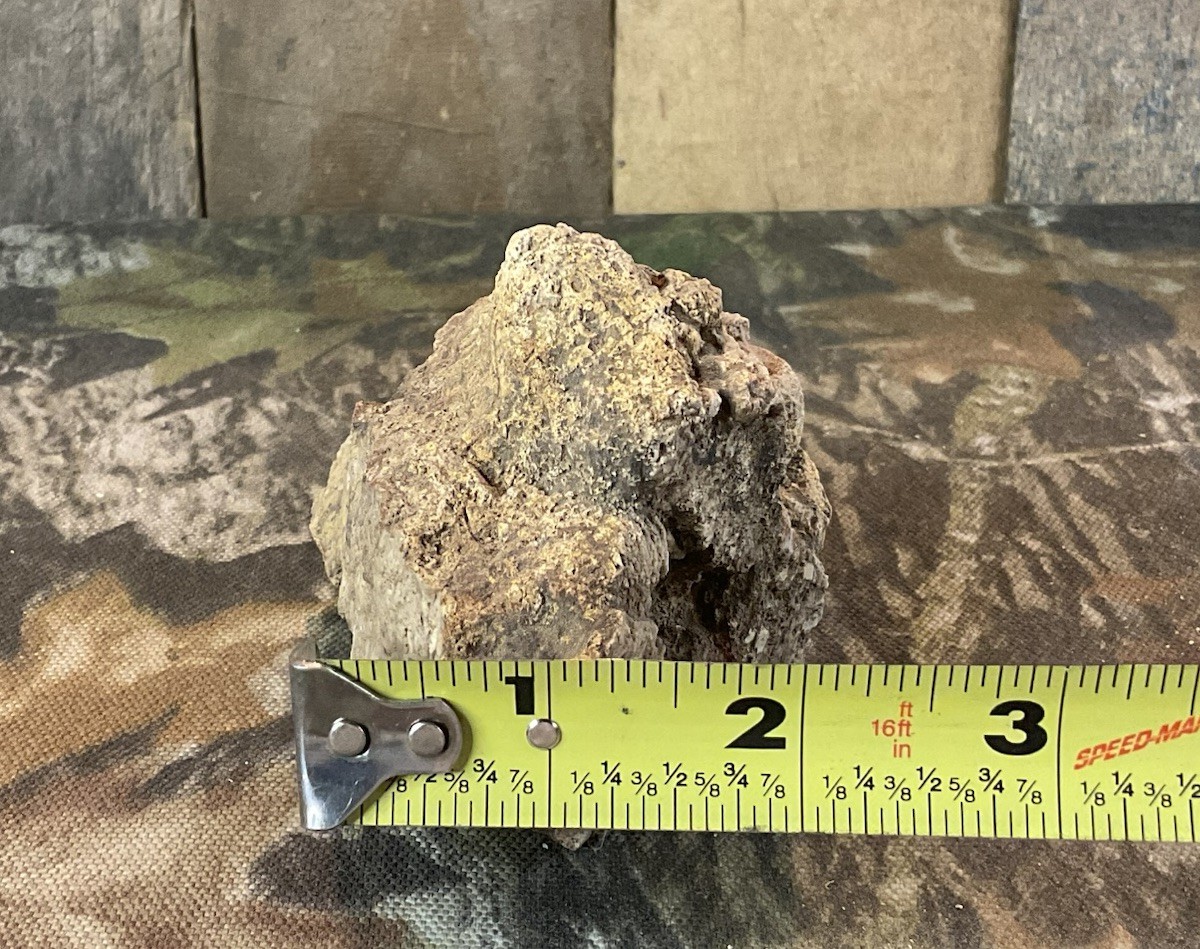 Missouri Druzy Quartz Fossilized Coral Stone Display