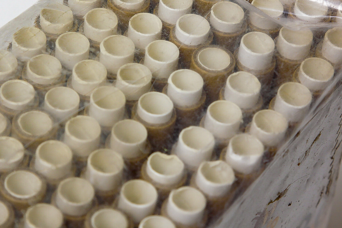 Cardboard Mason Bee House Tubes 6 Inches Paper Tubes for Mason Bees (200)