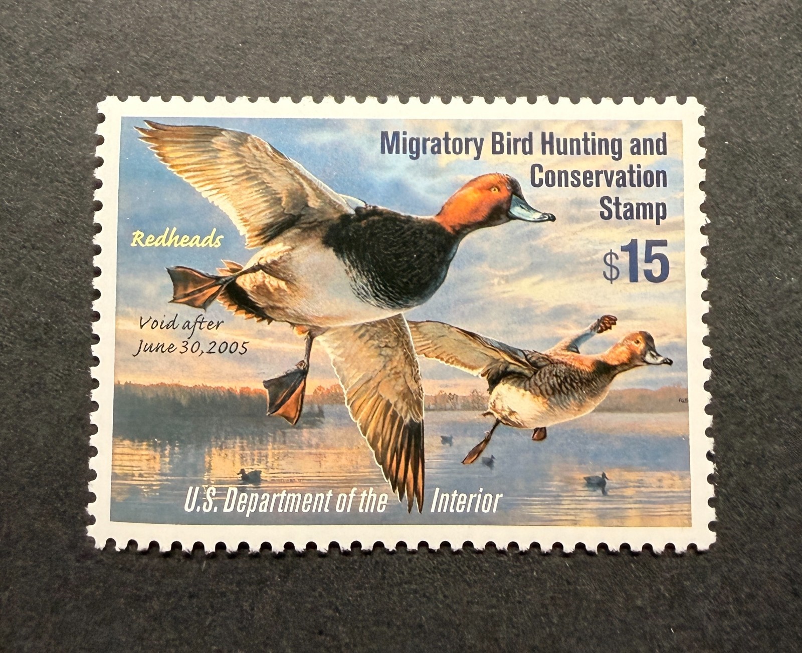 WTDstamps - #RW71 2004 - US Federal Duck Stamp - Mint OG NH