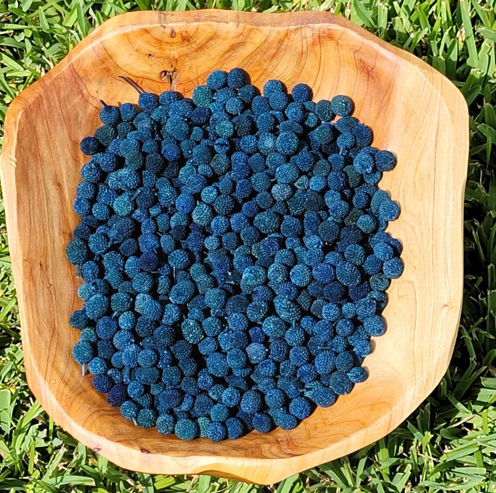 Dried Bora Berries/Jackie Berries, Potpourri Supplies, 12oz about 8 Cups, Blue