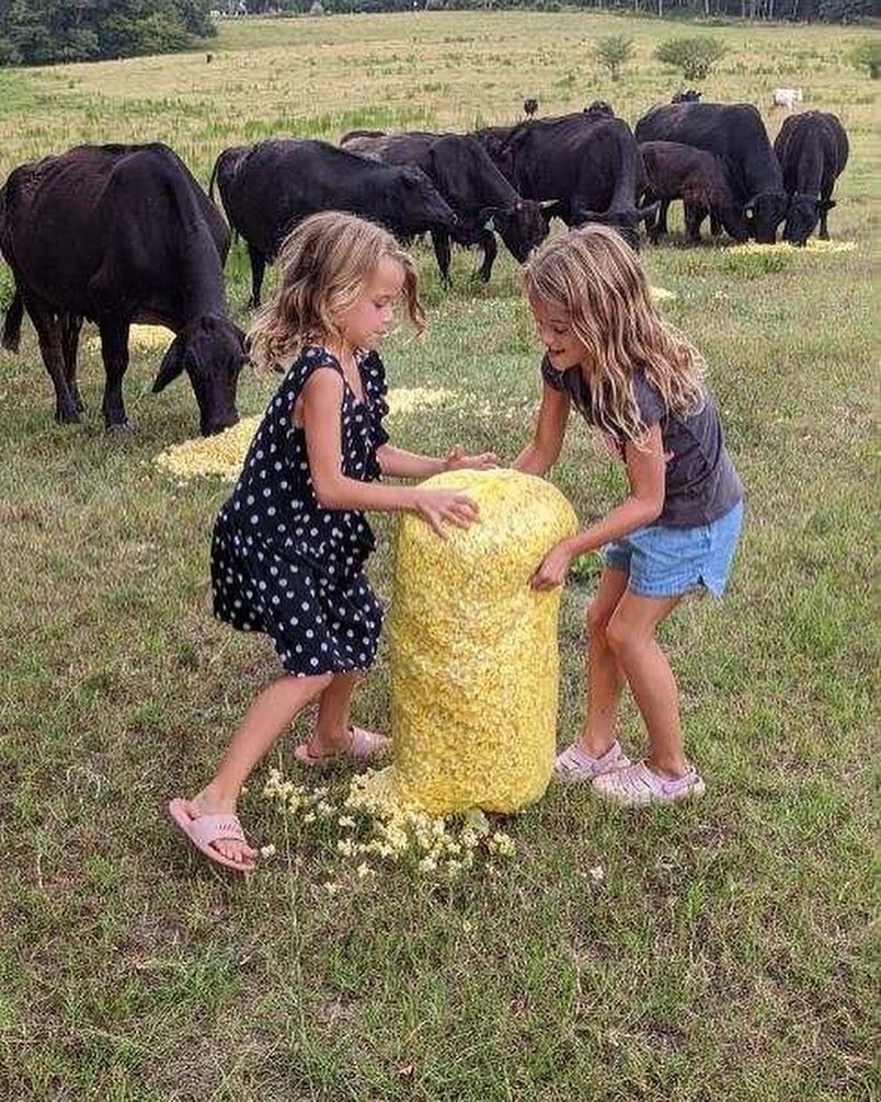 📬 Mystery Letter from a Farmer – Handwritten, Fun, Silly, and One-of-a-Kind Far
