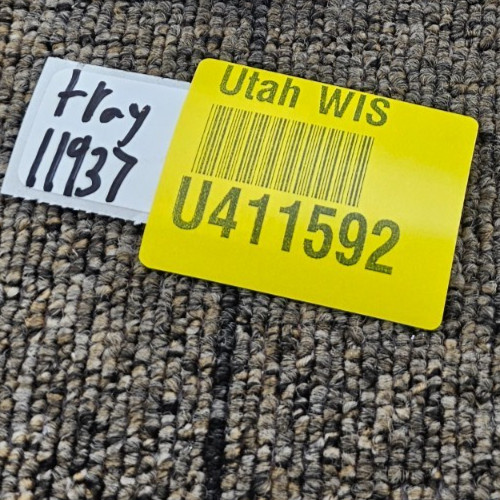 (QTY 10) Schlage KYSS-SLKY*5686567: Primus Key Blank