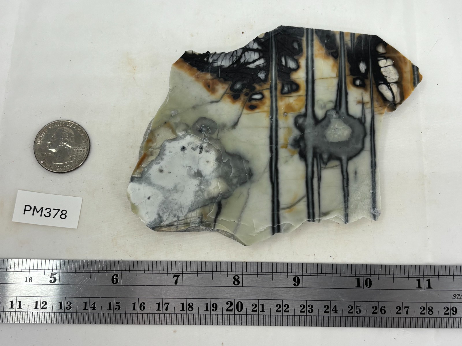 Picasso Marble (Jasper) end Slab Cabbing Lapidary Utah Combo Ship Avail