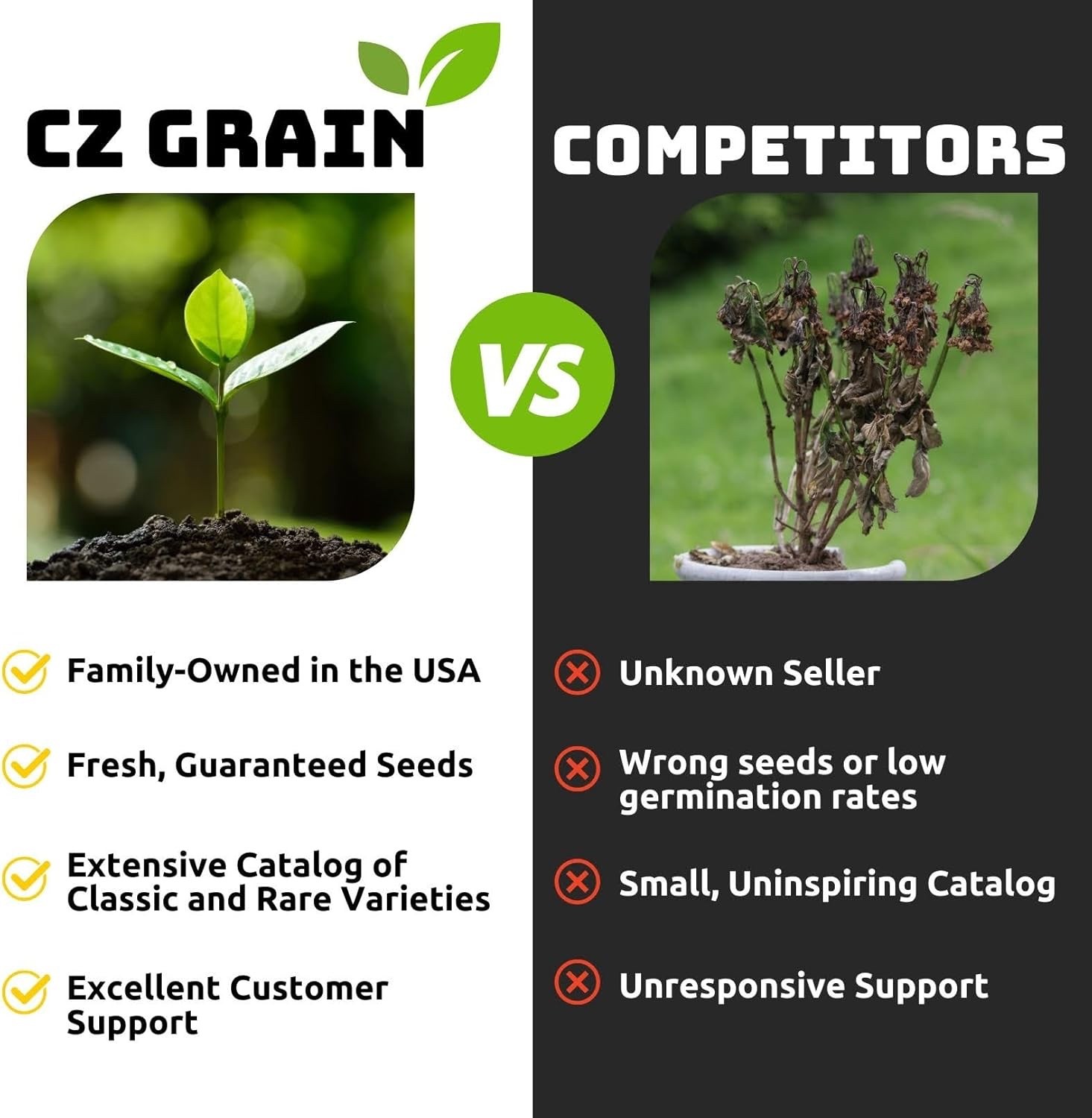 Blue Angel Giant Hosta Plant for Growing - Hosta Plant - Perennial 3 Roots