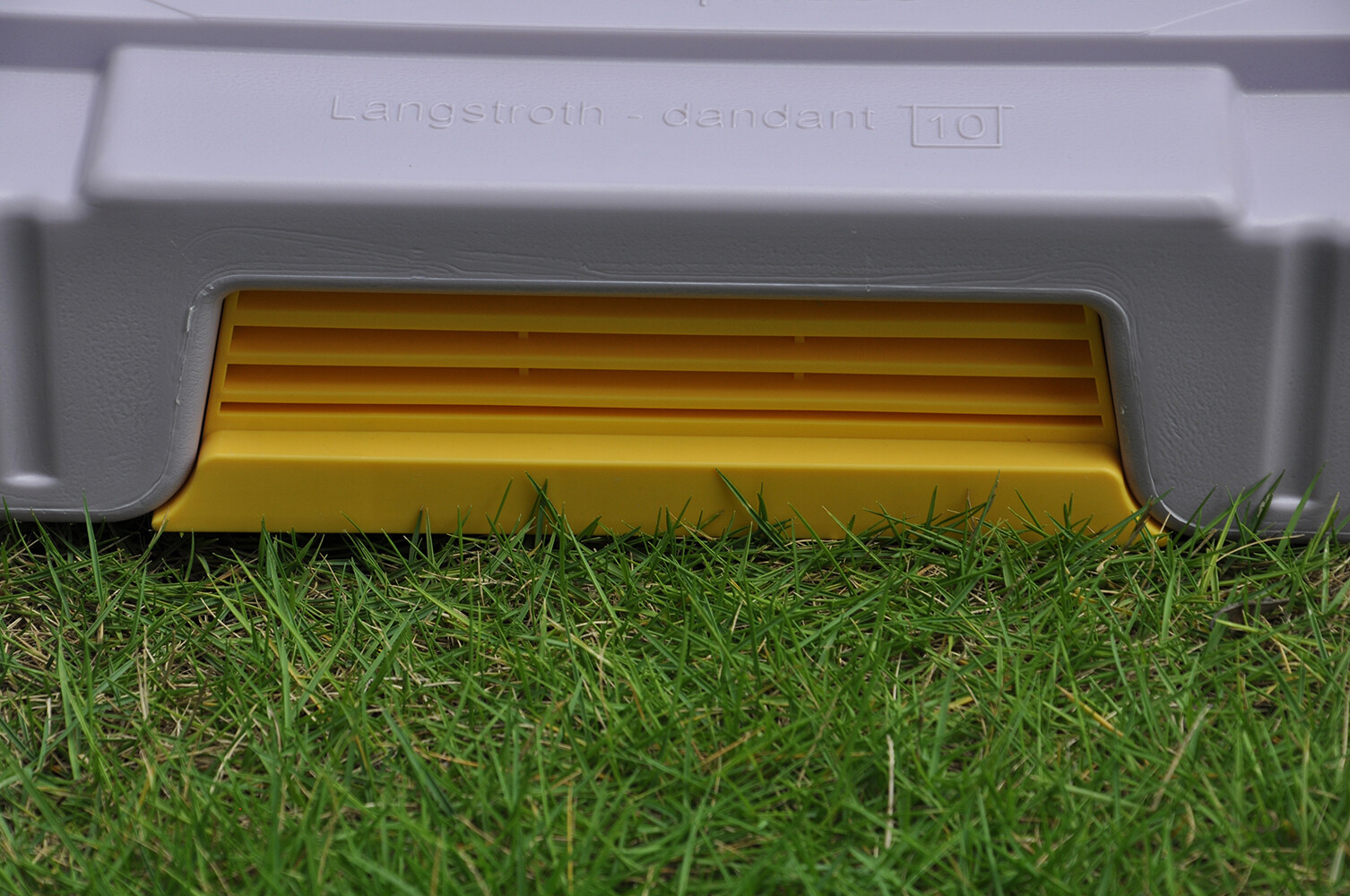 Plastic Insulated Hives Beekeeping Boxes Beehive Honey Bee Hives Supplies Tools