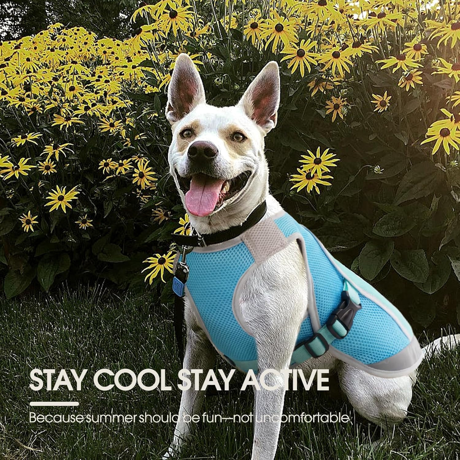 Kuoser Dog Cooling Vest for Summer, Lightweight Dog Cooling Harness Shirt with B