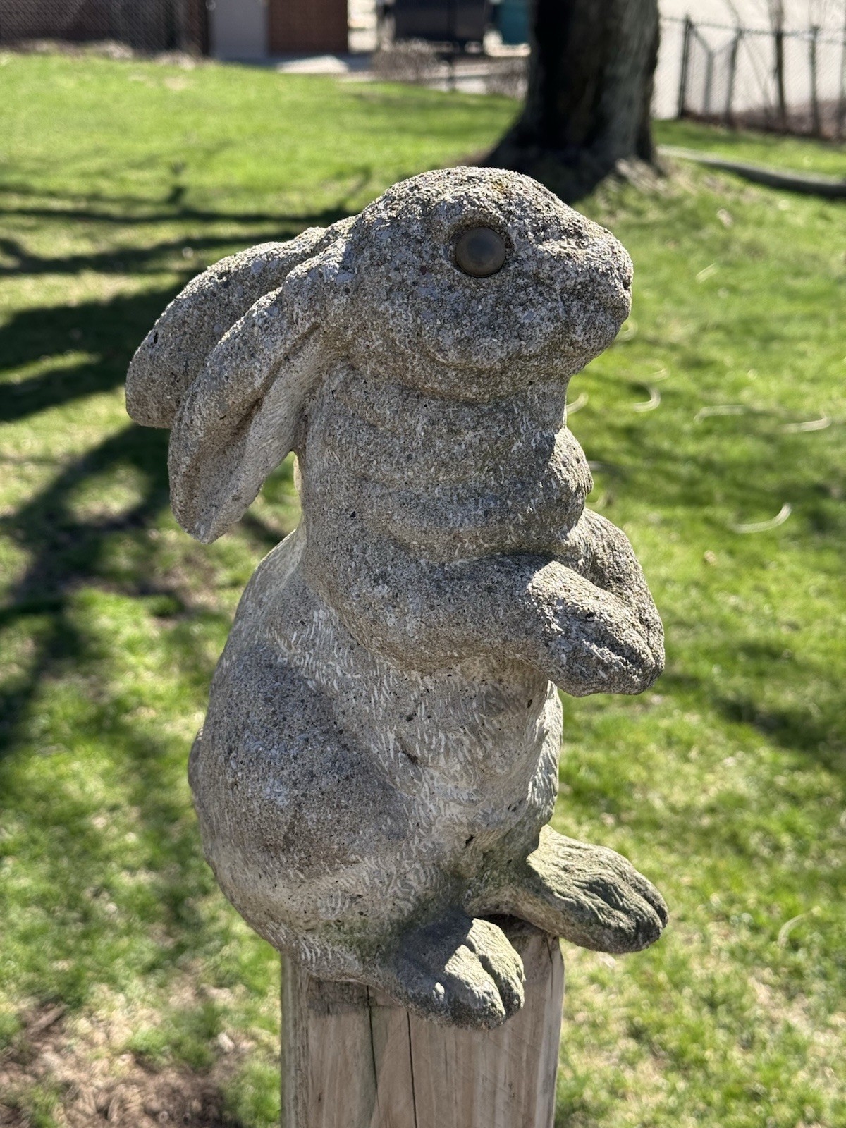 VINTAGE ENGLISH HARE Cement Concrete Bunny Rabbit Outdoor Garden Statue Art