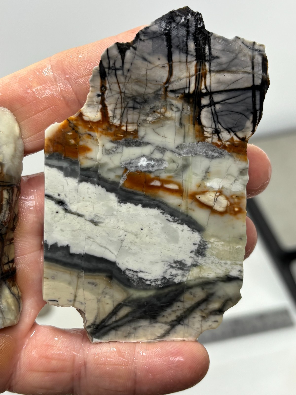 Picasso Marble (Jasper) Slabs Cabbing Lapidary Utah Combo Ship Avail