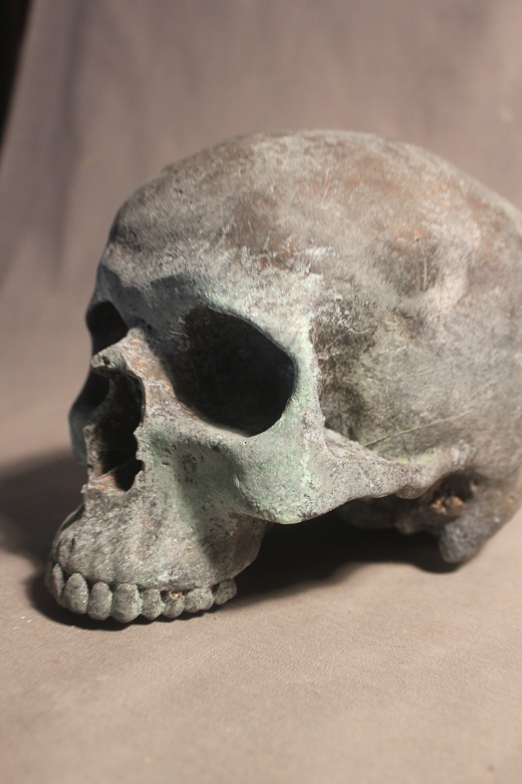 Human Skull Anatomical Medical Death Oddity Theater Doctor Funeral Postmortem