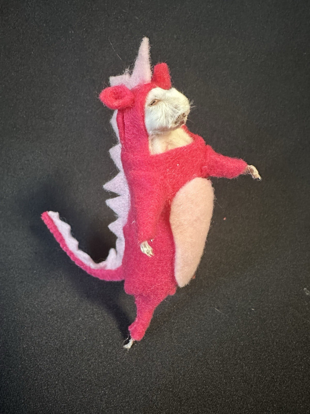 Taxidermy Mouse Dinosaur Mouse Oddities Curiosities Taxidermy Art