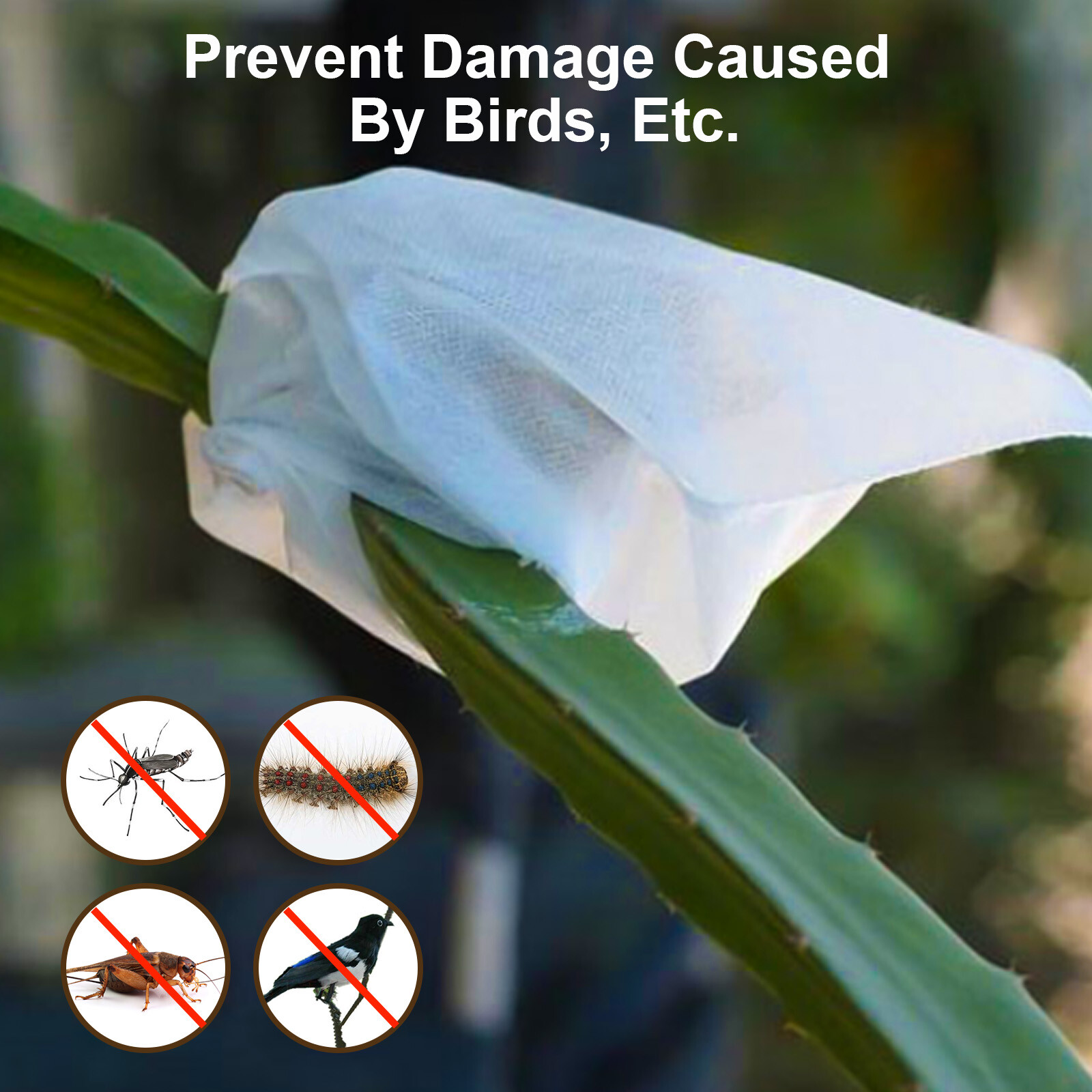 100/200PCS Grape Protection Bags Fruit Vegetable Mesh Bag Anti Insect Waterproof