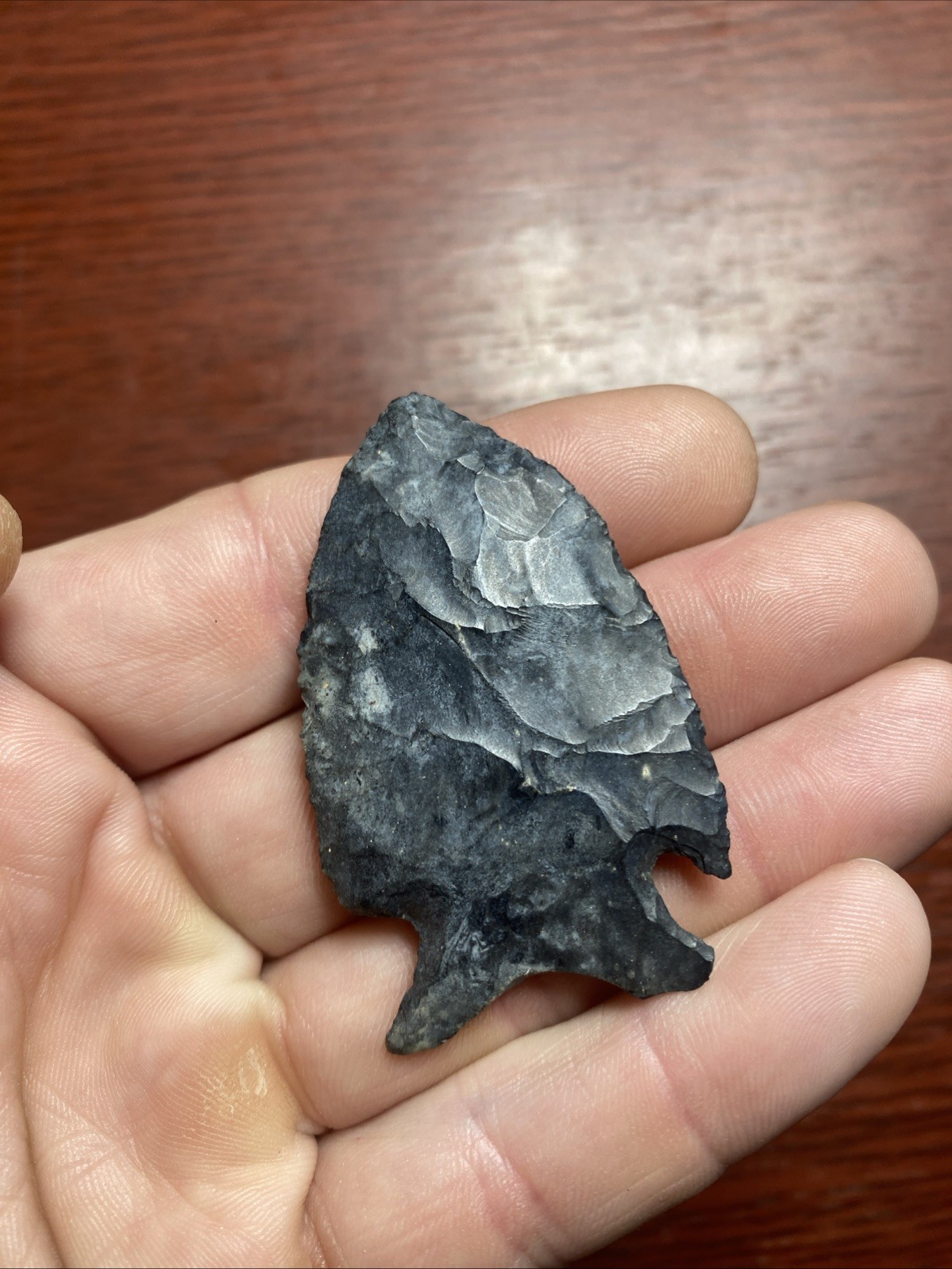 MLC s8279 2 1/4” Intrusive Mound Coshocton Chert Arrowhead Ohio Stone Artifact