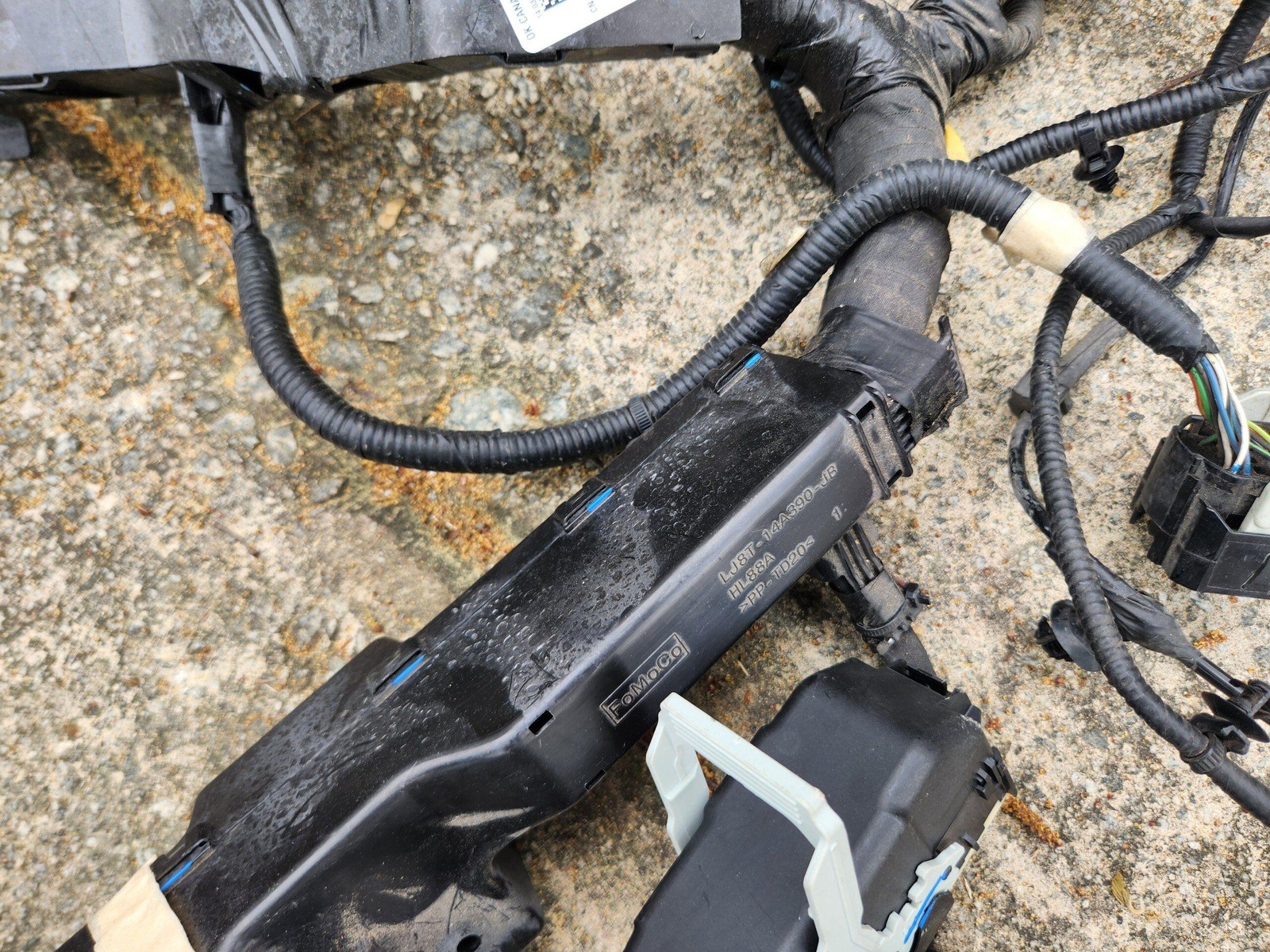 2021 - 2023 FORD MUSTANG MACH-E AWD ENGINE WIRING HARNESS OEM