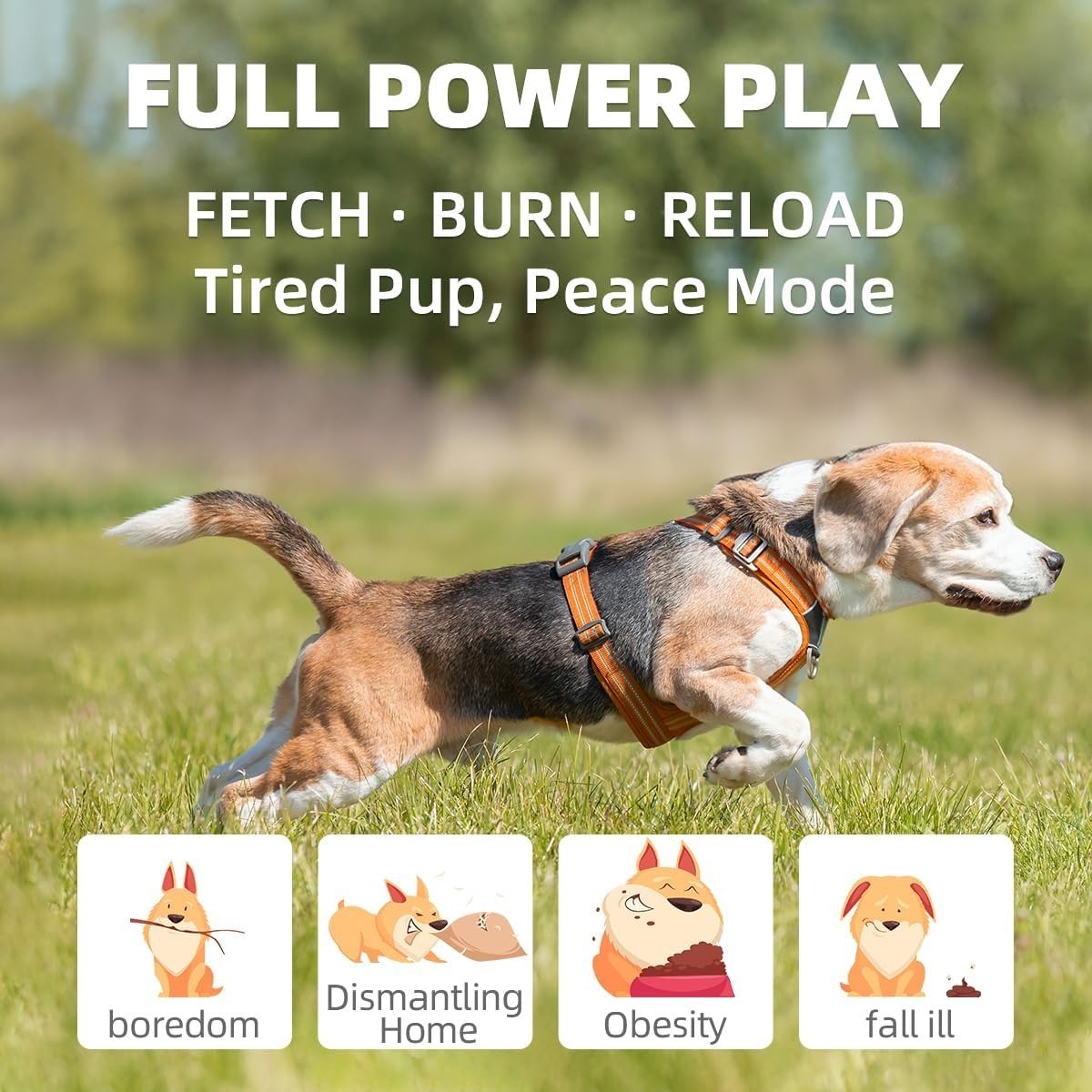 Automatic Dog Ball Launcher-Small Silent Dog Ball Thrower, 3 Adjustable Distance