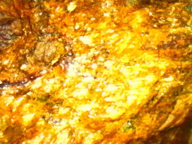 Gold Ore Specimen /Quality Visible Gold