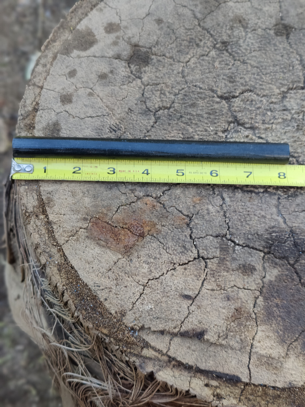 Bushcraft 5/8" diameter by 8" or 5" long ferrocerium rod mischmetal ferro rod