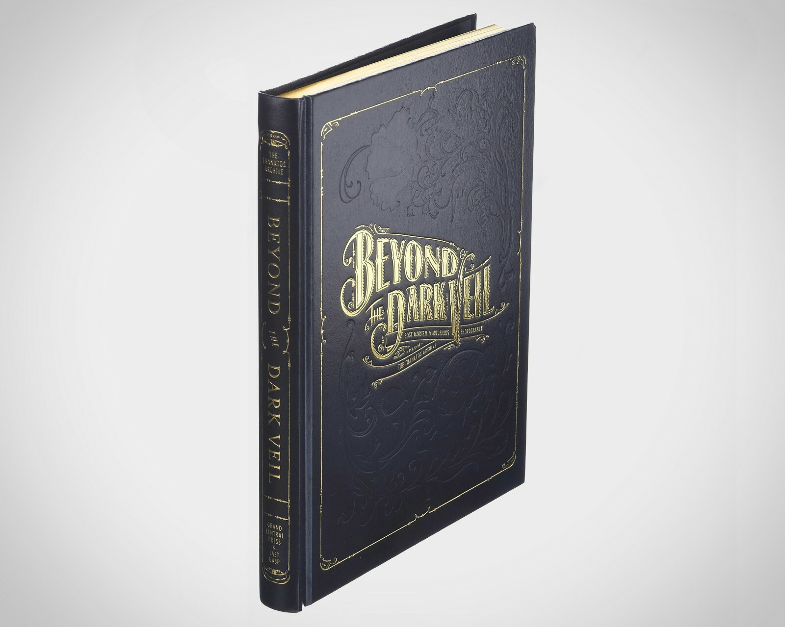 Post Mortem Book, Beyond the Dark Veil, Book of Death, Oddities, Curiosities