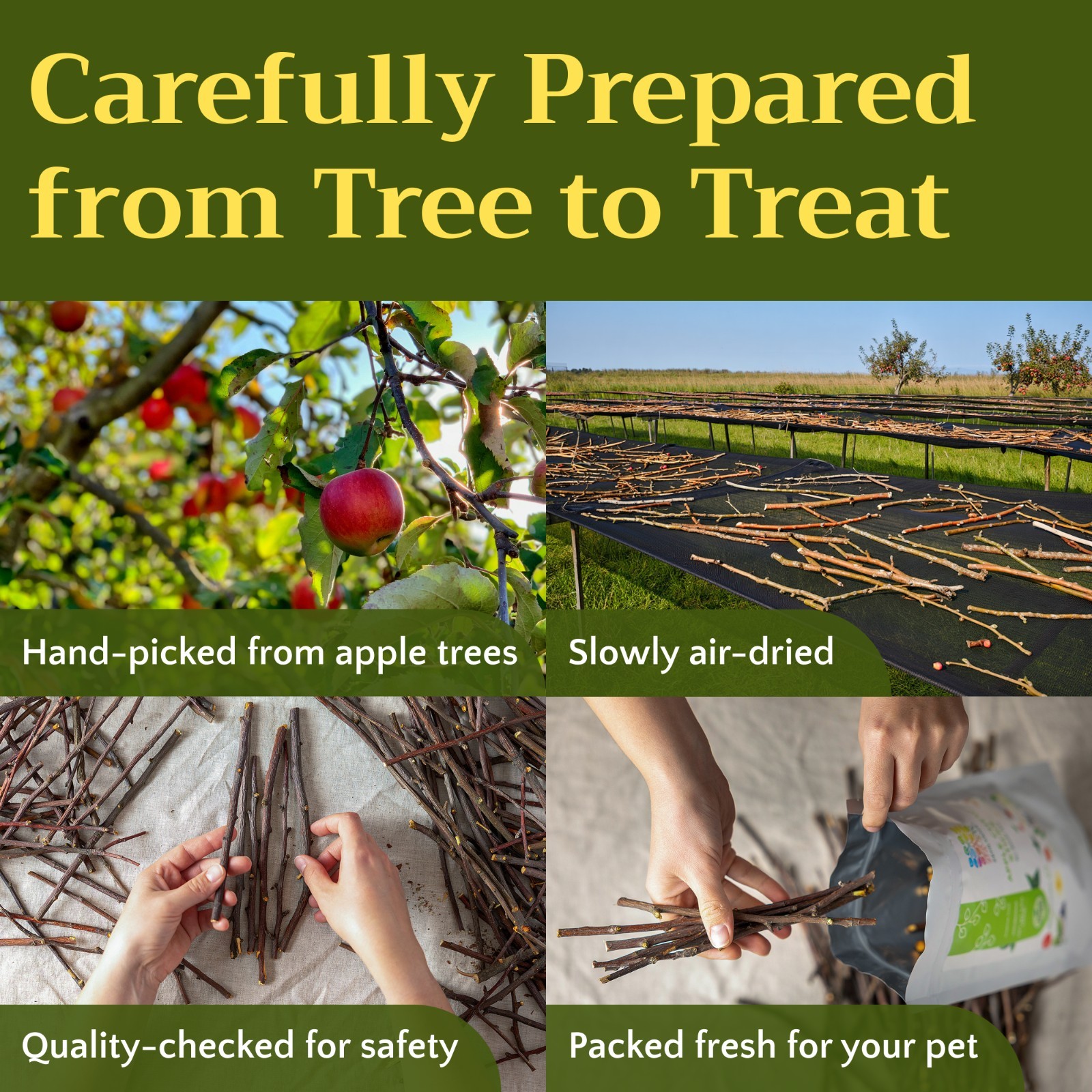 Apple Chew Sticks – Natural Wood for Rabbits, Hamsters, Guinea Pigs