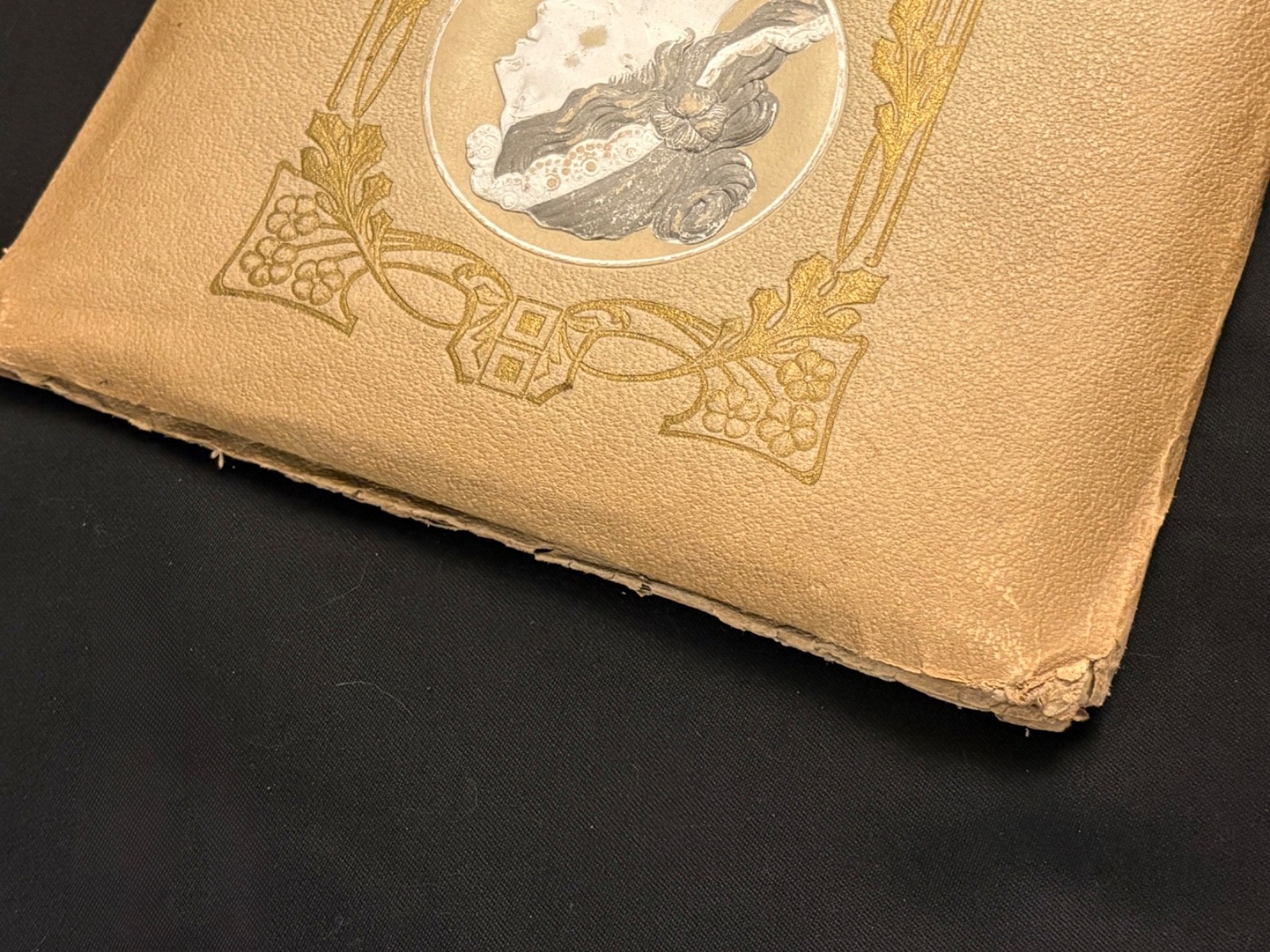 Post Cards Album Embossed Profile Art Nouveau Paper Slotted Pages Vintage Empty