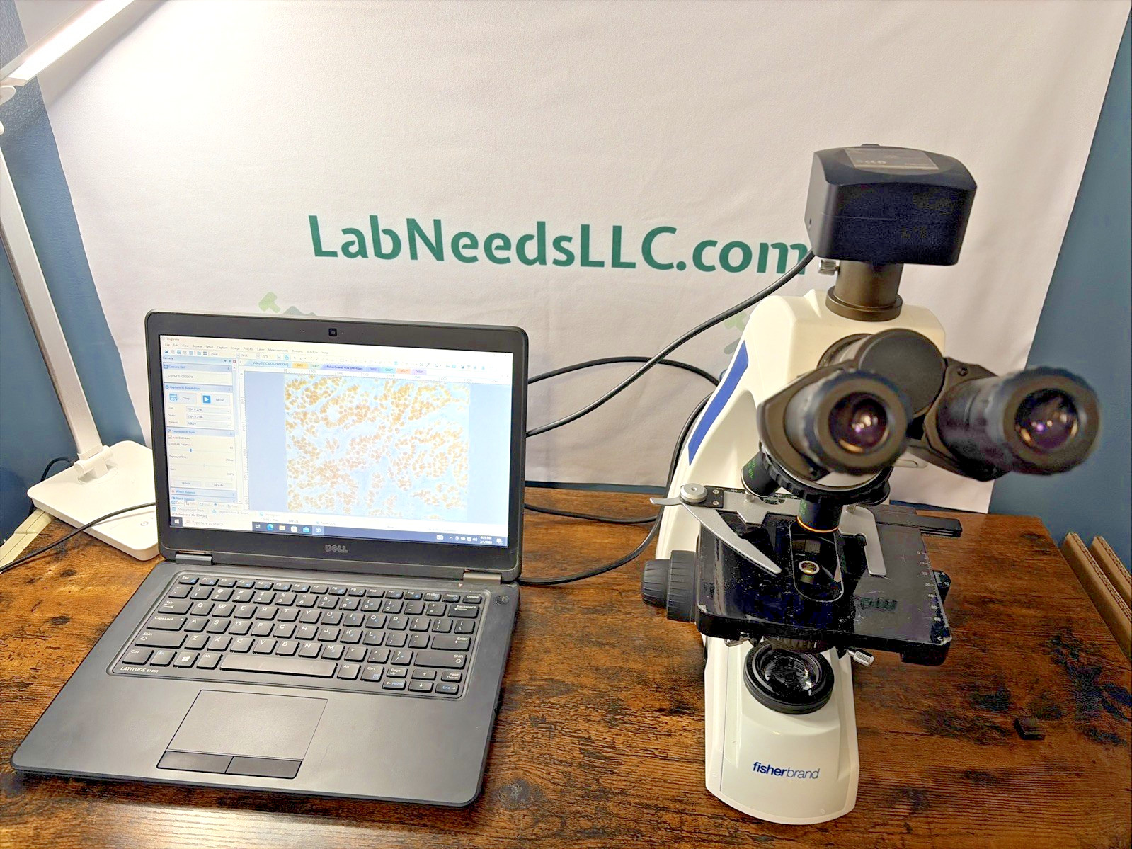 Fisherbrand Research Upright Microscope, (4) OBJECTIVE LENSES, 10MP camera