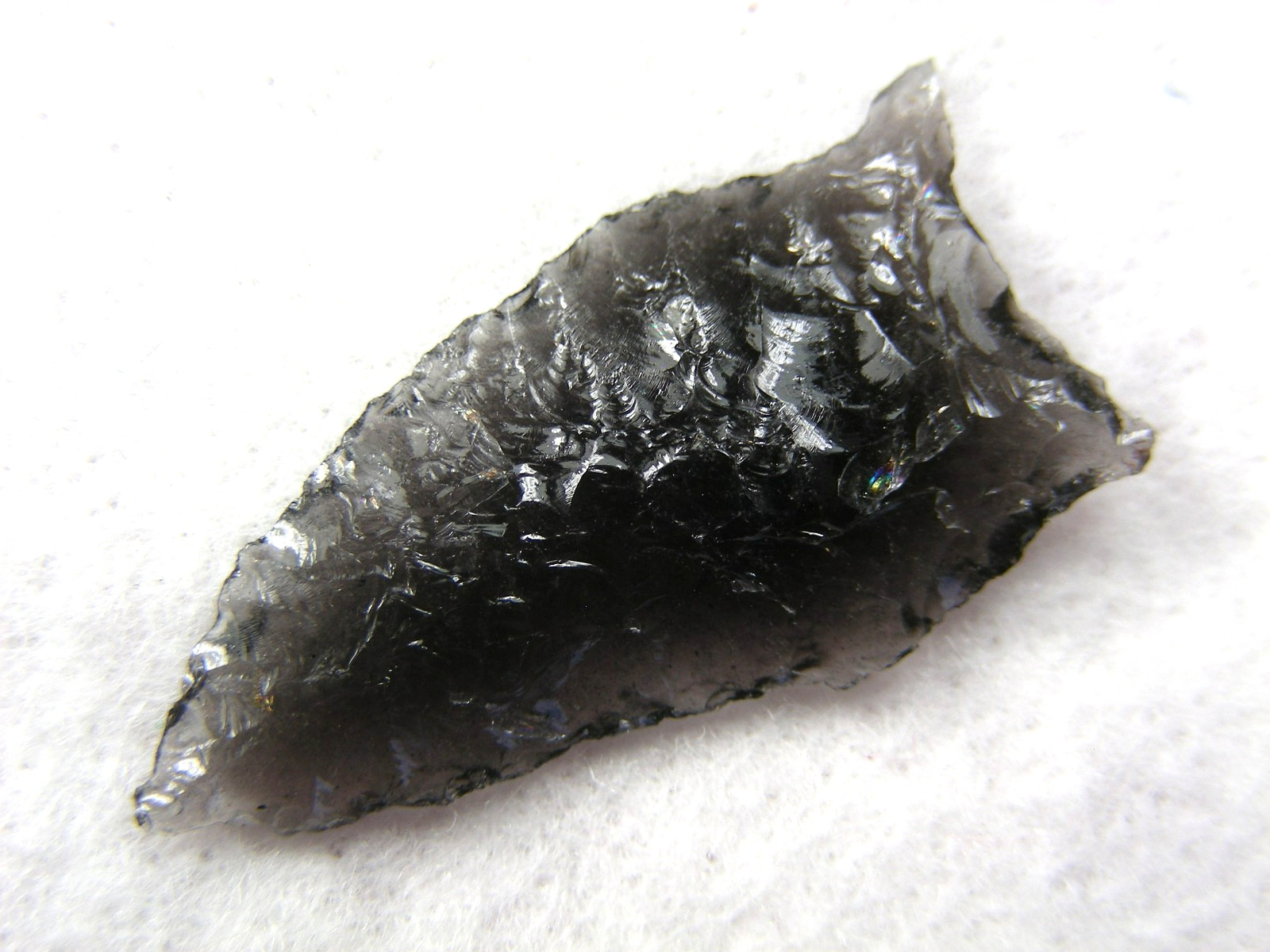 BUCHANAN EARED 1-1/4" NEVADA Authentic Indian Relics