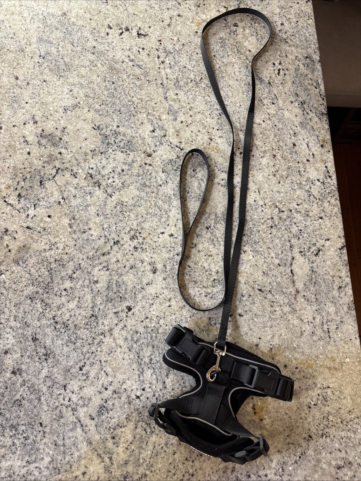 Rabbitgoo Cat Harness & Leash Set - Escape Proof Reflective Strips Black Size XS