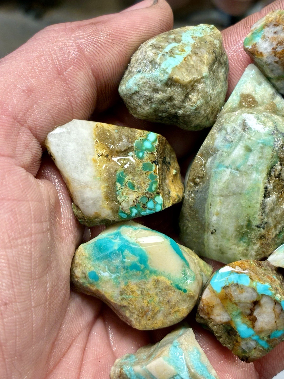 1 Lb of Skinny Turquoise Mountain Nugs! Now Available Again! ￼